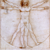 Leonardo da Vinci l’Uomo di Vitruvio