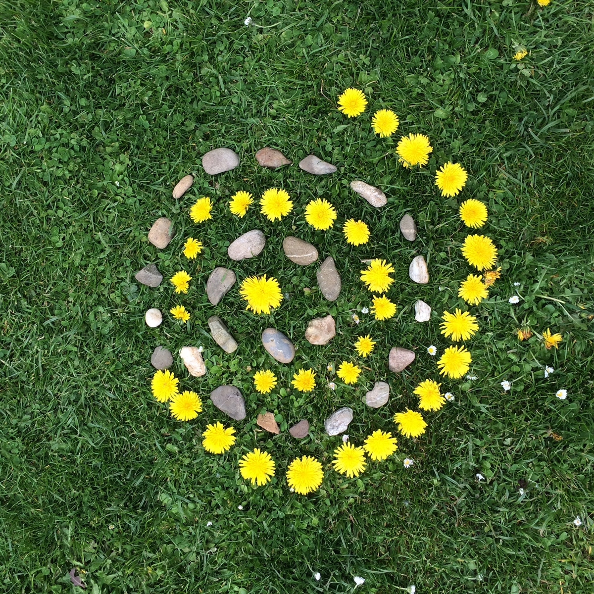 Spirale con i fiore - Esempio di land art